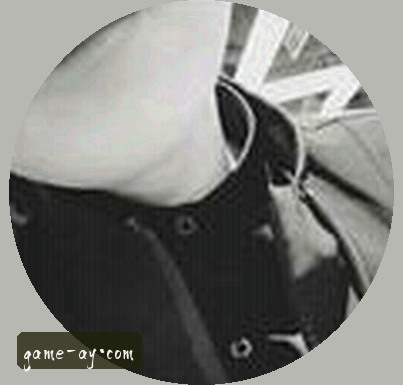 陈磊
